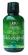 Liqiud Chlorophyll 