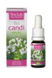  fin Candimis