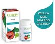    REISHI Z WITAMINĄ D3  (60 kapsułek)