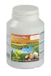  Parasine Plus