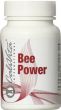 Bee Power