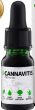                 Olej C.B.D 10%  10 ml  CANNAVITIS