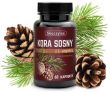 KORA SOSNY z L-ARGININĄ 60kap